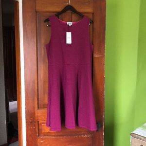 Leota 1L Ava dress NWT